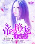 帝少暗宠小甜妻