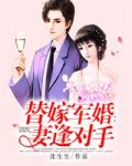 替嫁军婚：妻逢对手