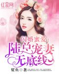 闪婚蜜爱：陆总宠妻无底线