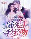 隐婚罪妻：陆先生，轻轻吻