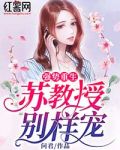 强势重生：苏教授别样宠