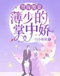 替嫁傻妻，薄少的掌中娇