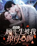离婚后，顾先生被我撩得心颤！