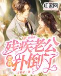 新婚夜，残疾老公把我扑倒了